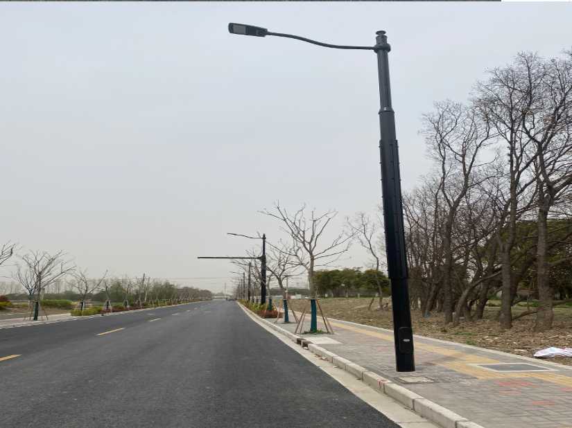 新宁县上海综合杆 太阳能路灯工程